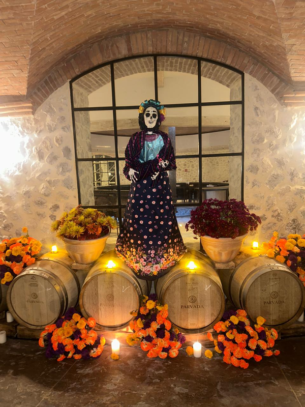 Recorrido/cata "Tales from the Wine"