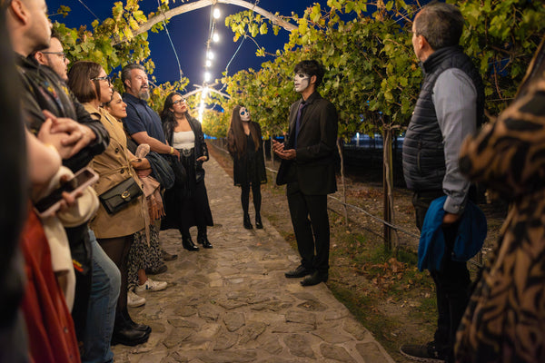 Recorrido/cata "Tales from the Wine"